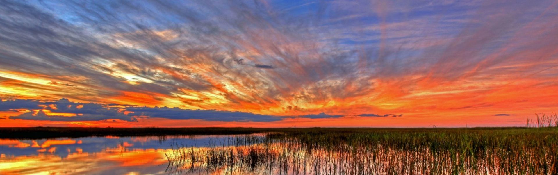 Bezoek het Everglades National Park in Florida