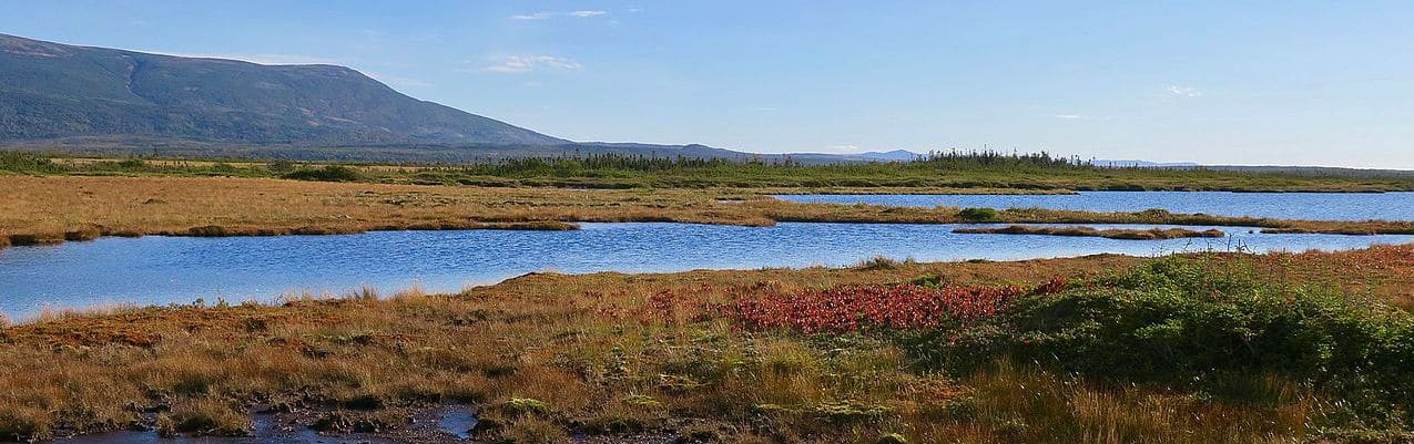 Highlights van Gros Morne National Park