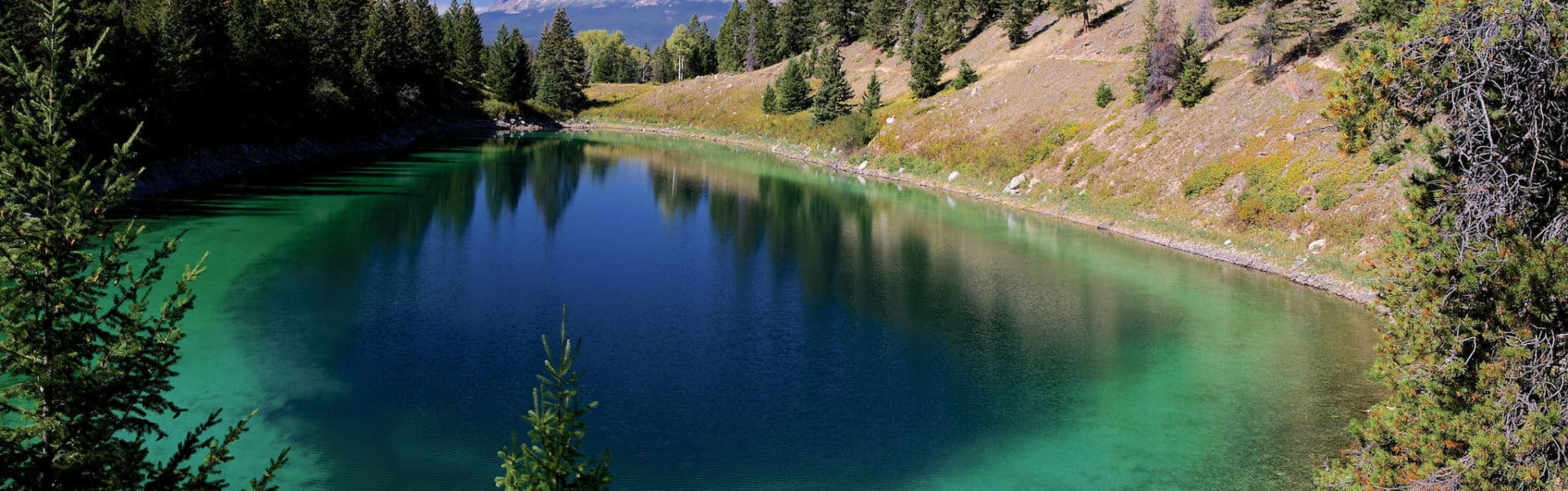 Wandeling Valley of the Five Lakes, Jasper, Alberta